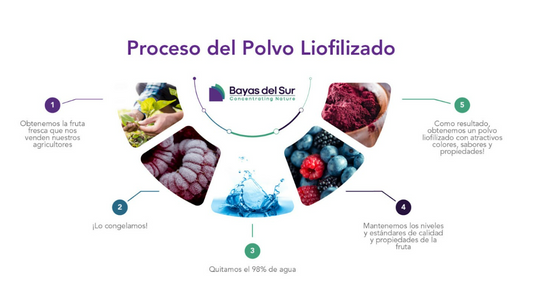 ¿En qué consiste el proceso de liofilización?