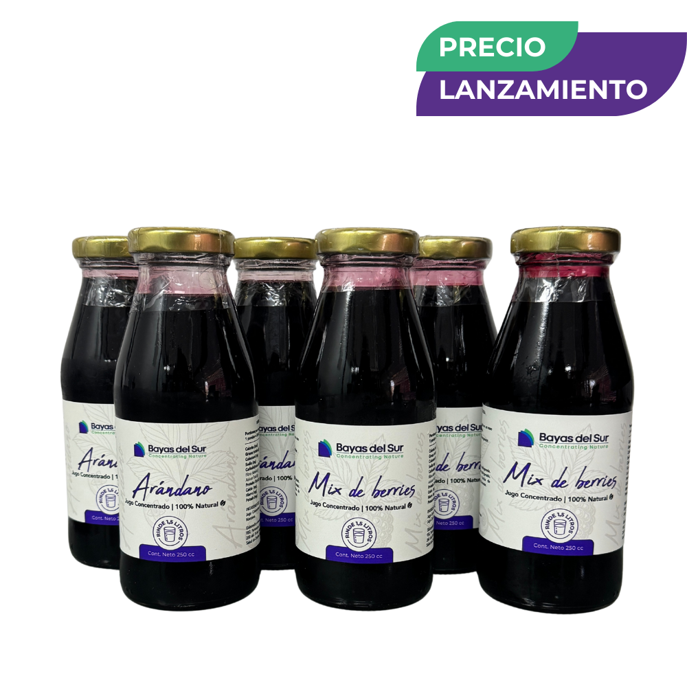 Pack x6 Concentrados · Mix Arándano + Berries