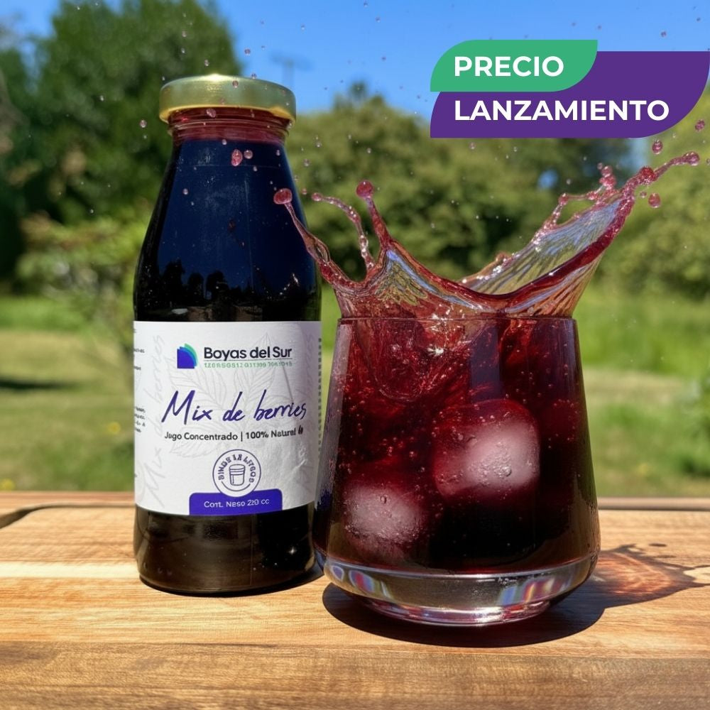 Concentrado Mix de Berries – Edición Limitada