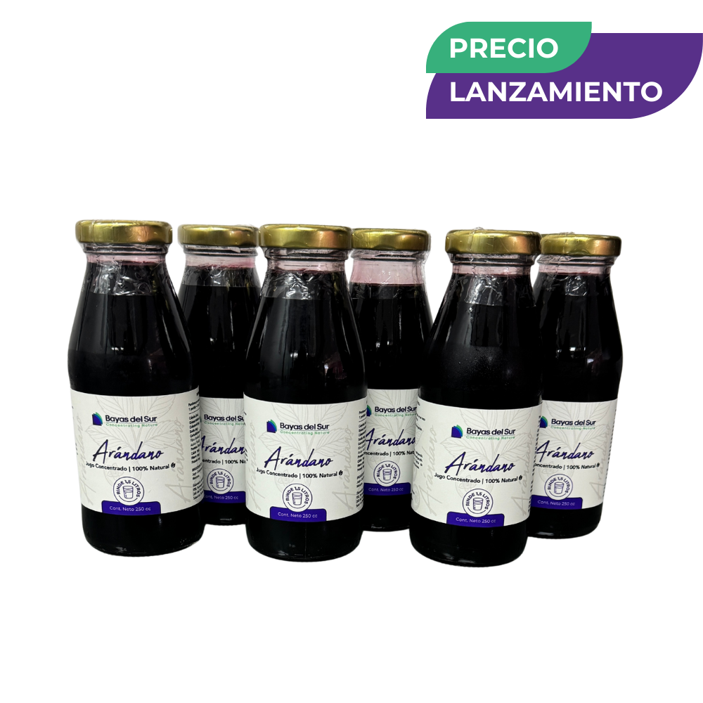Pack x6 Concentrados · Arándano