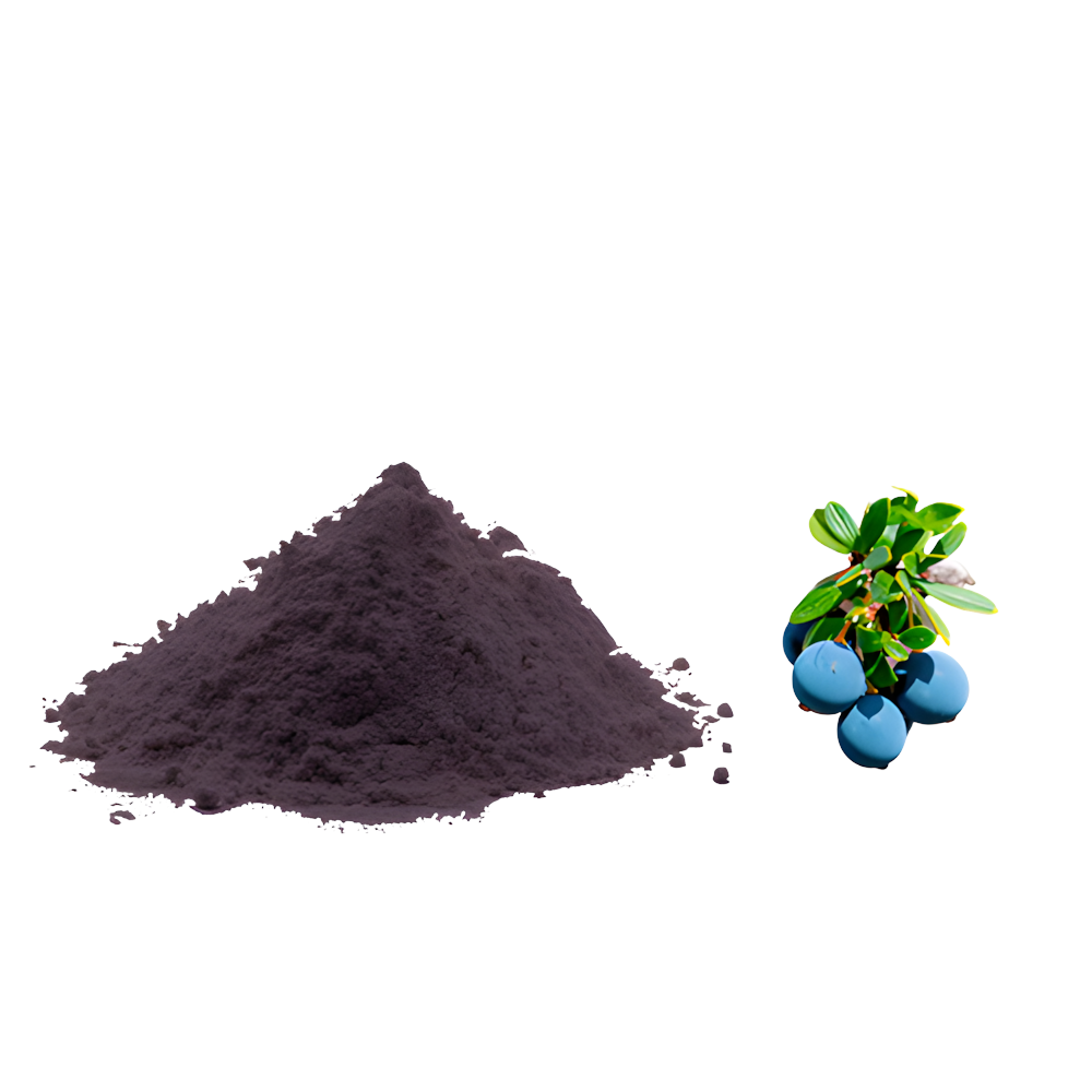 POLVO LIOFILIZADO CALAFATE