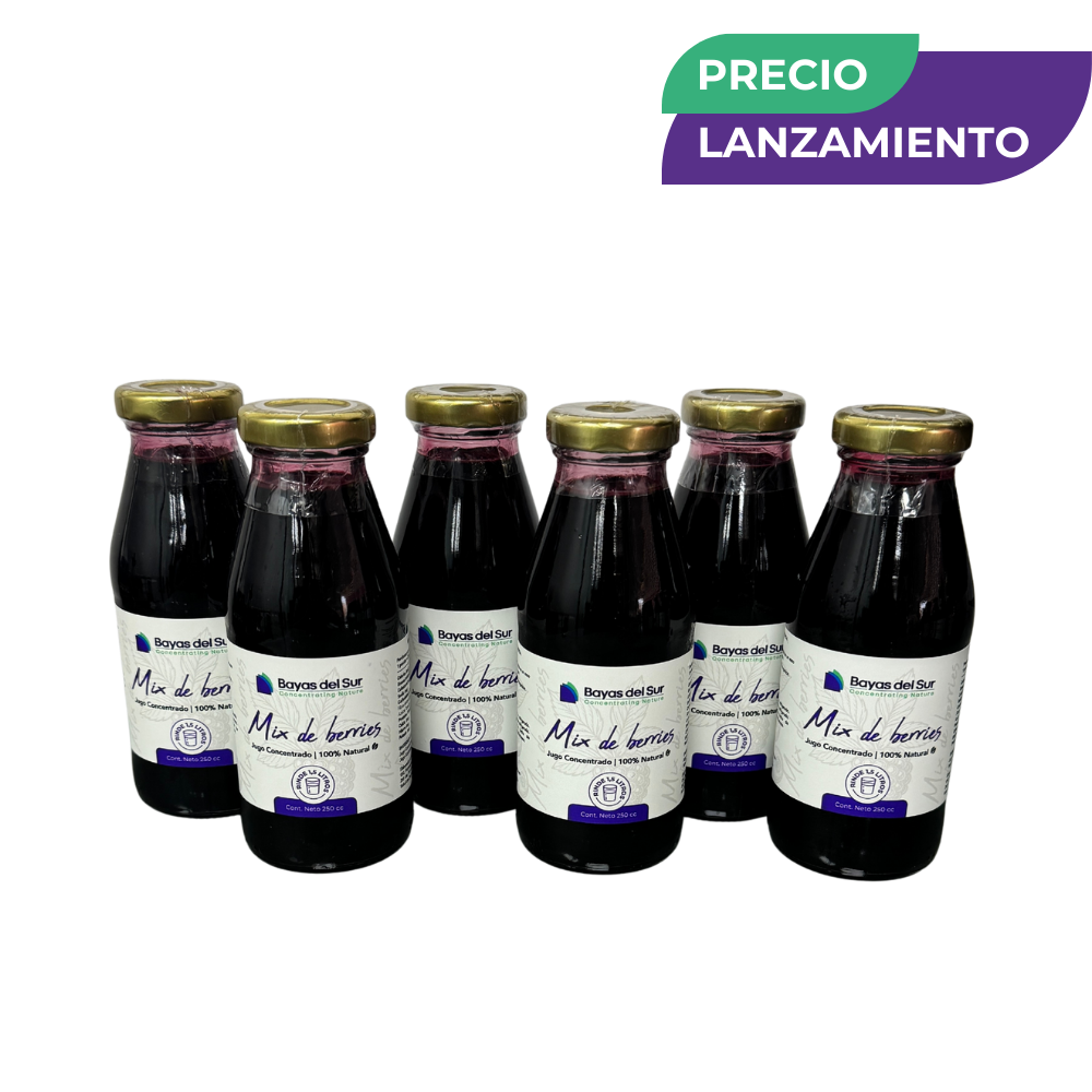 Pack x6 Concentrados · Mix de Berries