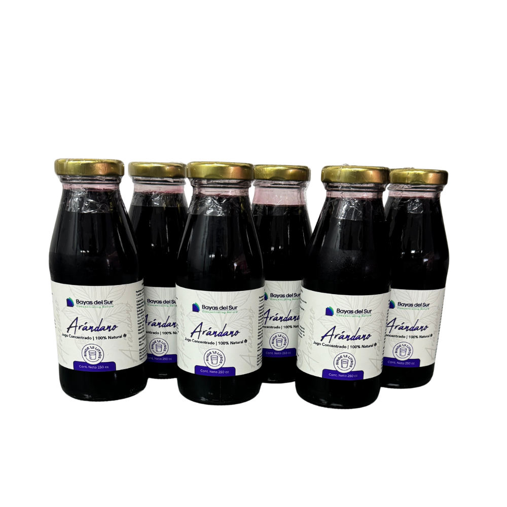Pack x6 Concentrados · Arándano