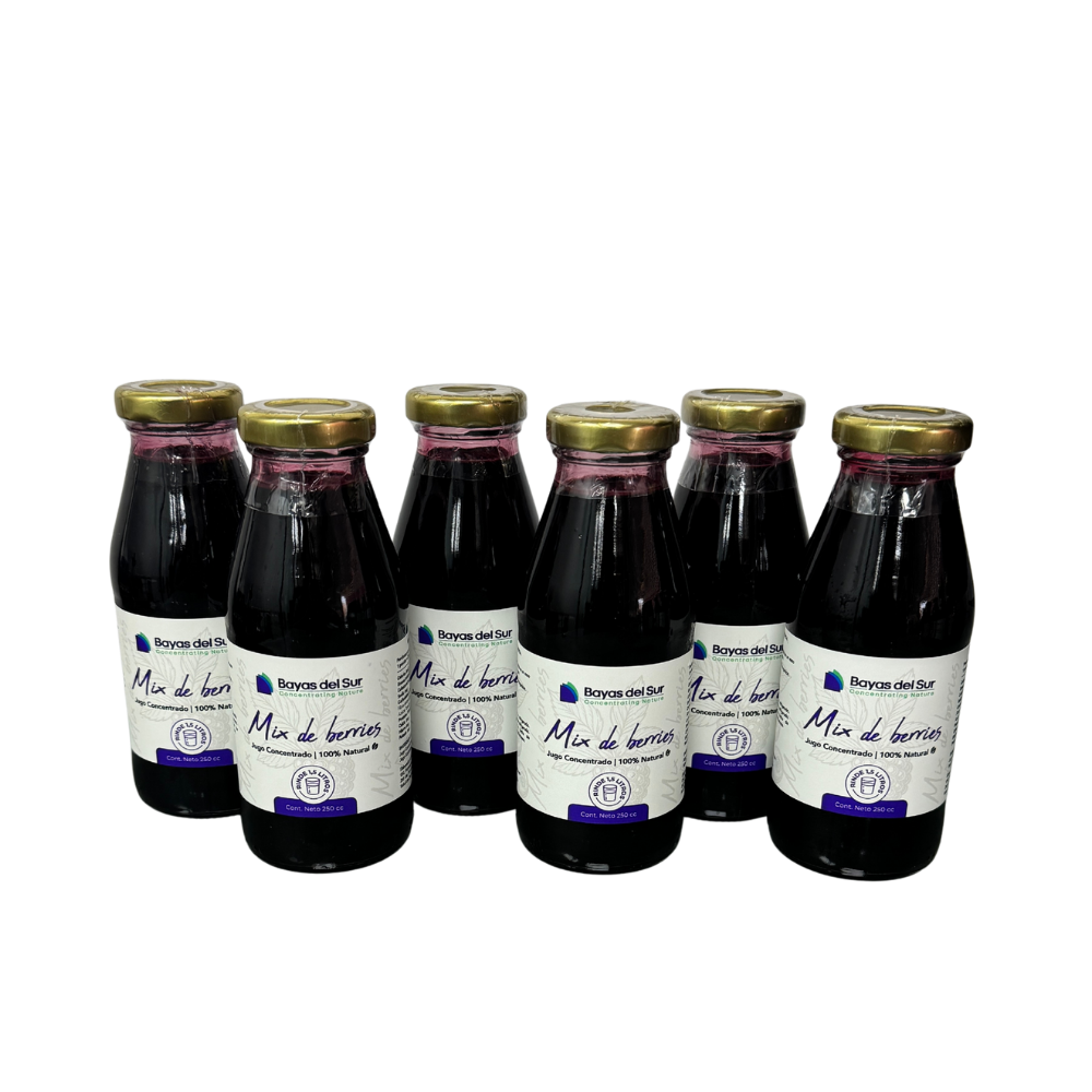 Pack x6 Concentrados · Mix de Berries