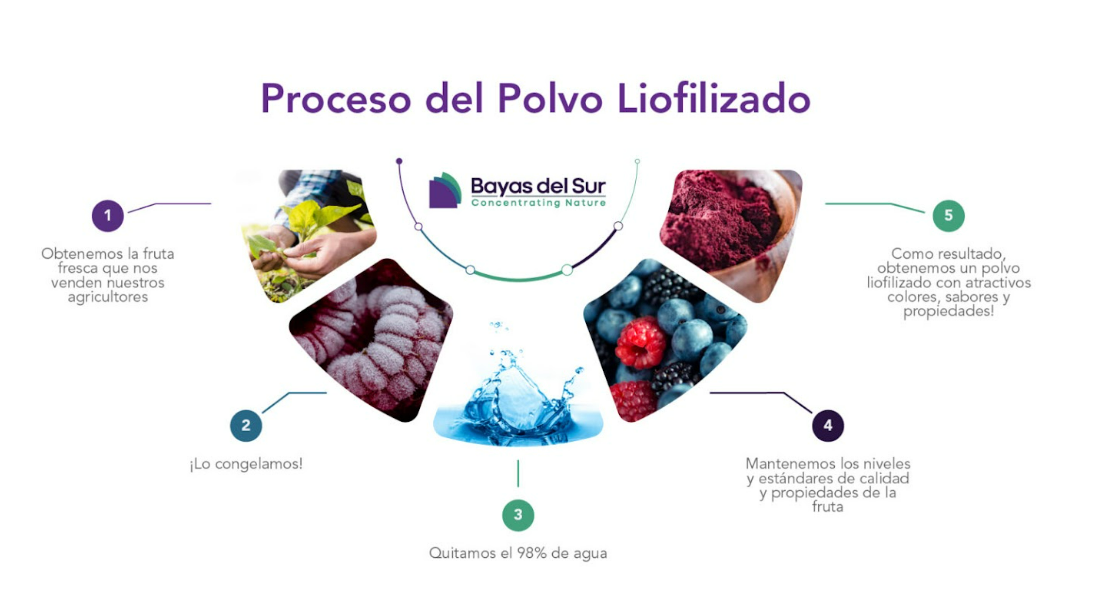 ¿En qué consiste el proceso de liofilización?