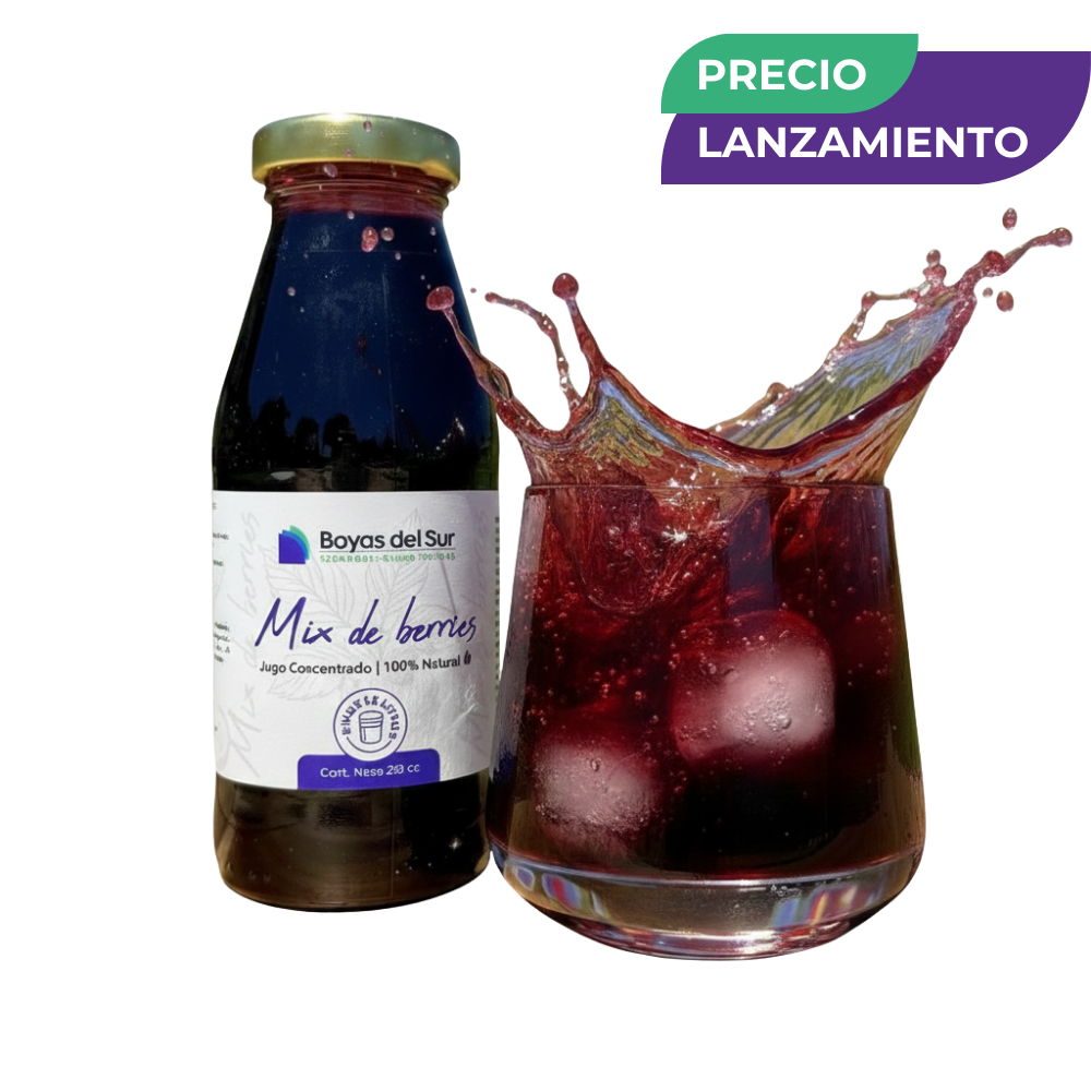 Concentrado Mix de Berries – Edición Limitada