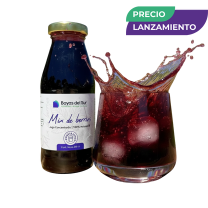 Concentrado Mix de Berries – Edición Limitada