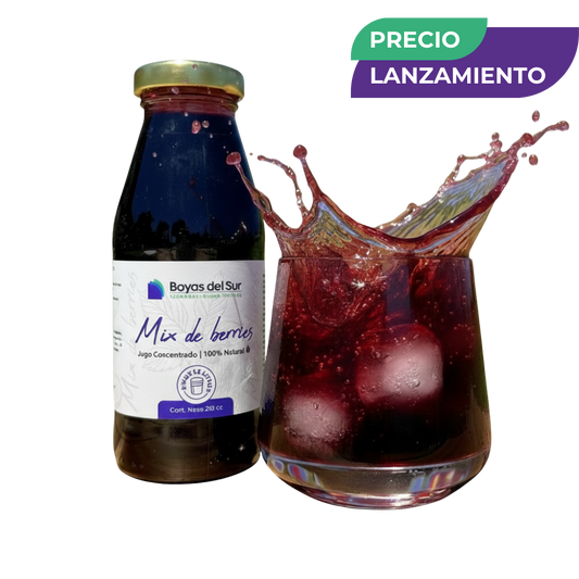 Concentrado Mix de Berries – Edición Limitada