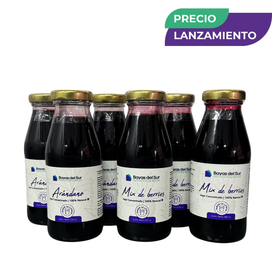 Pack x6 Concentrados · Mix Arándano + Berries