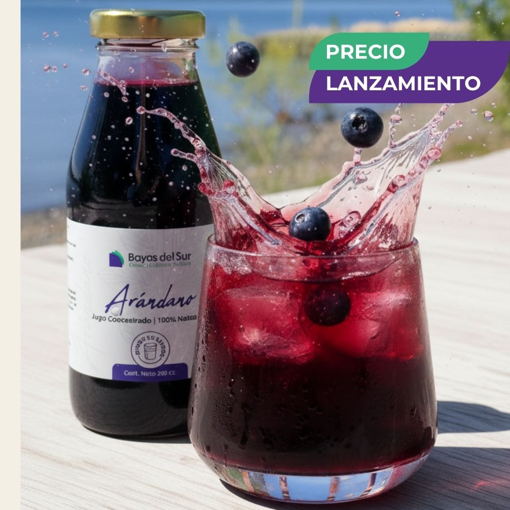 Concentrado de Arándano – Edición Limitada