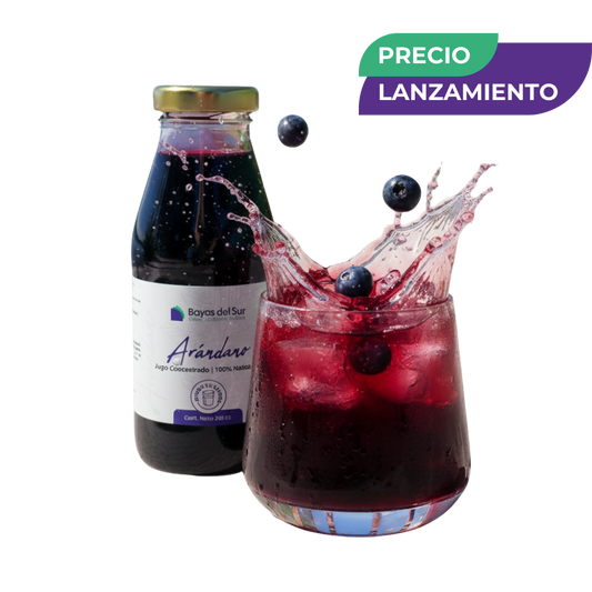 Concentrado de Arándano – Edición Limitada