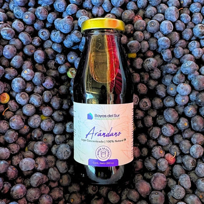 Concentrado de Arándano – Edición Limitada