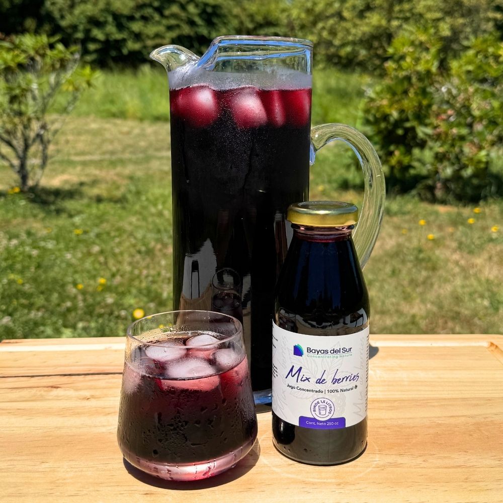 Concentrado Mix de Berries – Edición Limitada