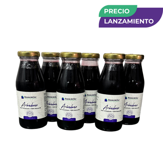 Pack x6 Concentrados · Arándano
