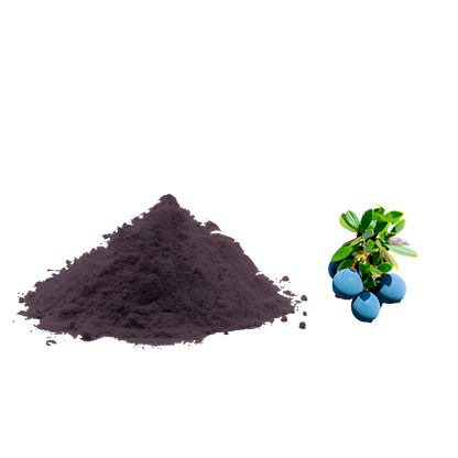 POLVO LIOFILIZADO CALAFATE