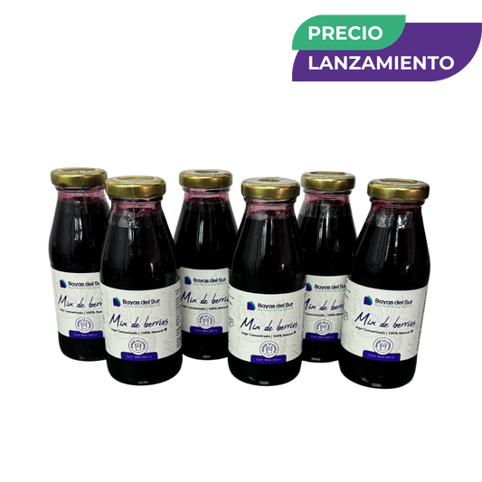 Pack x6 Concentrados · Mix de Berries