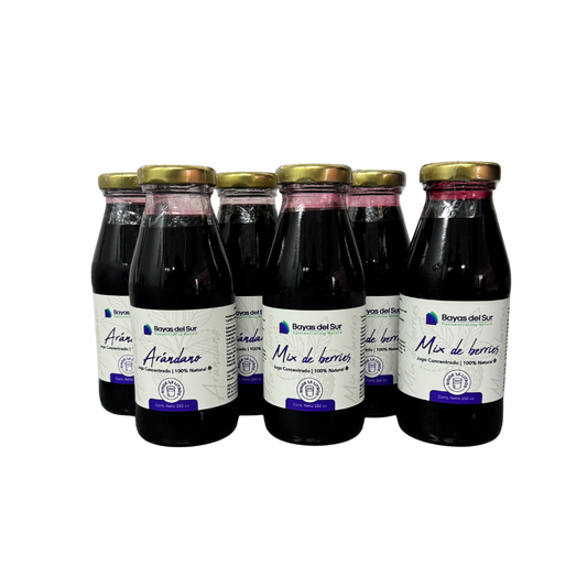 Pack x6 Concentrados · Mix Arándano + Berries